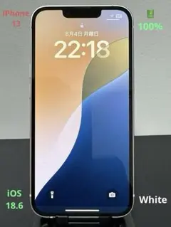 iPhone 13美品128GB ( 電池100% ) ★スターライト★