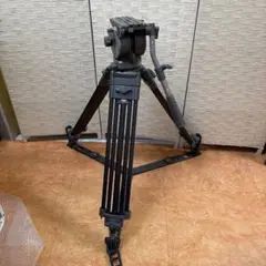 Item thumbnail for item 311ecdcb-294d-41a7-8271-12296dc2e882