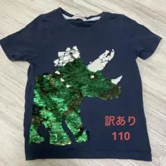 H＆Ｍ　トリケラトプス　スパンコール　訳あり
