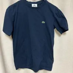 LACOSTE ネイビー Tシャツ サイズ3