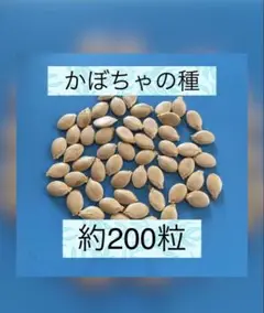 Item thumbnail for item 4f3a416b-c332-43a7-adba-c31c180b08a2