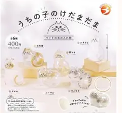 うちの子のけだまだま　ガチャ　全6種セット