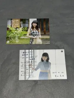 安野希世乃 東山奈央 ポストカード 2枚 セット グッズ アニメ 声優
