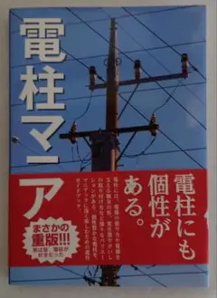 電柱マニア 2420円のお品