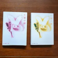 片翼の瞳 1巻 2巻 セット