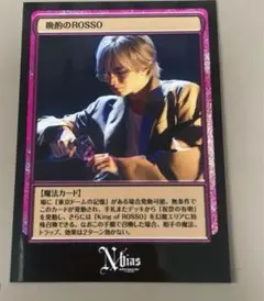 【美品】中島健人 N/bias DVD 特典 Nカード 晩酌のROSSO