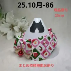 Item thumbnail for item 7f6940a0-5184-4f9d-9cec-d930976b42a3