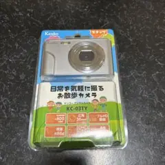 Item thumbnail for item b3b1f061-d61d-44df-a98f-e49958a8de02