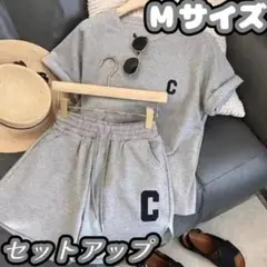ルームウェア セットアップ 上下 Mサイズ グレー　レディース かわいい