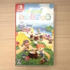あつまれ どうぶつの森 Nintendo Switch
