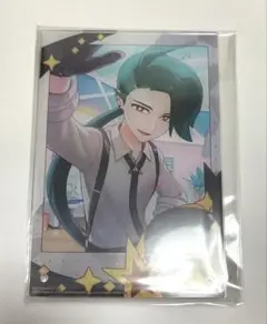 ポケモンマスターズex アクリルパネル　チリ