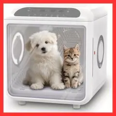 Item thumbnail for item bcb03465-00b0-46e8-823c-985a4c4f2653