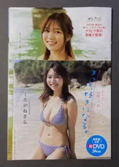 くろがねさら 付録未使用DVD 切り抜き14P