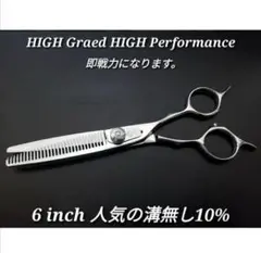 Item thumbnail for item 6adbadf8-4bb0-4a24-929c-88c91e5df8a7