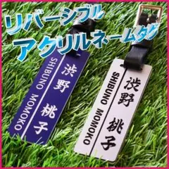 本日限定セール【新商品】リバーシブル 3D立体彫刻ネームタグ【ブルー、シルバー】