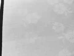 Item thumbnail for item 1166a6a0-db0c-4ca0-b796-dca3ba08d91d