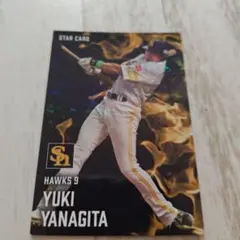 ホークス 柳田悠岐 スターカード
