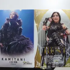 Item thumbnail for item da46ea9b-62ba-4b98-b704-554d4451490c