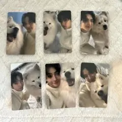 TWS Last Bell weverse　ラキドロ　サモエド　トレカ　コンプ