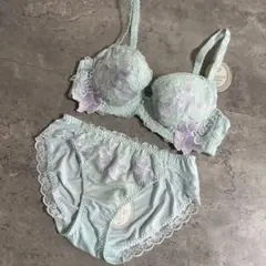 新品　ELENE X-Rated エレーヌ　ブラジャーショーツセット　C70