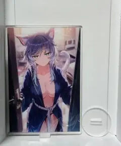 崩壊スターレイル サフェル アクリルスタンド 同人