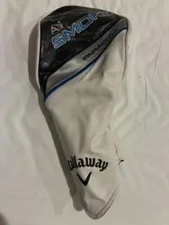 Item thumbnail for item 36086a59-fbd9-474a-9ba8-b098684719f6