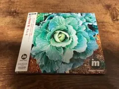 伊良皆誠CD「im」鳥山雄司プロデュース●