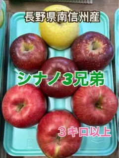 長野県南信州産 産地直送 シナノ3兄弟 現品
