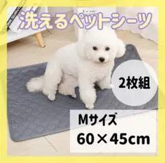Item thumbnail for item 1048ffaf-696d-4333-9365-fa99dcbd8e6f