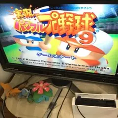 パワプロ9 実況パワフルプロ野球9　ゲームキューブ　起動確認済み