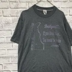 USA製90sヴィンテージTシャツ！シングルステッチ　グレー半袖古着　L 22