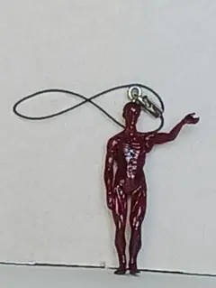 ガシャポン　人体模型キーホルダー　ガチャガチャ