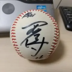 オリックスブルーウェーブ時代平野佳寿選手直筆サインボール