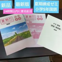 【新品】最新版夏期練成ゼミ　小学5年国語　夏休み用教材　塾用教材
