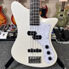 【入手困難品】Ryoga SKATER A-501 SP 5弦ベース Amazon | Ryoga SKATER-BASS Black ベース初心者11点セット
