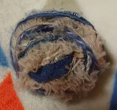 Item thumbnail for item e2fea66f-e5be-4e74-a949-6865824271a2