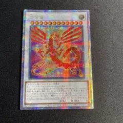 遊戯王　赤き竜　アジア　25th シークレット 遊戯王 赤き竜【アジア版25thシークレット】 デュエリスト