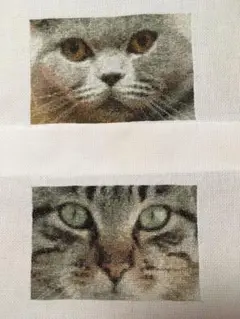 猫ちゃん顔アップ刺繍完成品