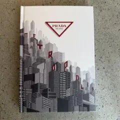 Item thumbnail for item c084c06c-2021-4e95-a6c8-d35dc8f83497