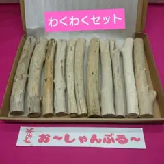 流木セットno.358