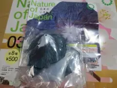 Nature of Japan 日本のいきもの　03　富士山　fujisan