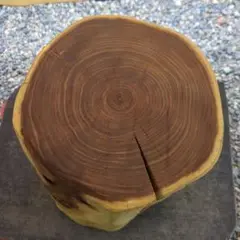 丸太(槐)