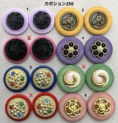 ボタンカボション250⑤ 10/10