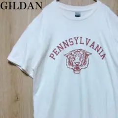 ギルダン 古着 Tシャツ アニマル タイガー トラ アイボリー