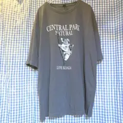 コアラ　アニマル　animal 古着　Tシャツ