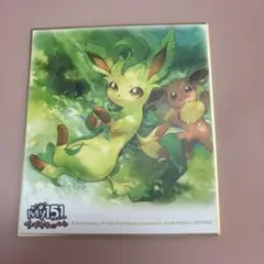 ポケモンセンター My151 イーブイキャンペーン 色紙 リーフィア