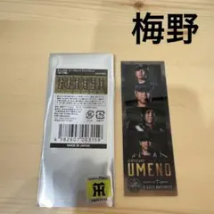 阪神タイガースシークレットフォトグレイ