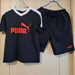 PUMA Tシャツ & ショートパンツ セット150