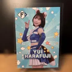 原藤由衣　キツネダンス2025 ファイターズガール　ストロベリークッキー