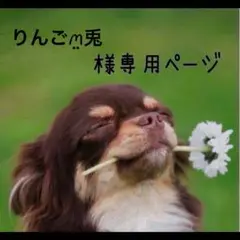 うさぎのペン立て No.2076 固まるハーバリウム